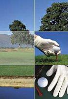Nassau Golf - Exklusiv-Vertrieb Deutschland